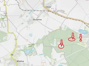 Prodej lesa, Vracov, 3963 m2