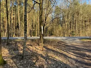 Prodej lesa, Týniště nad Orlicí, 6788 m2