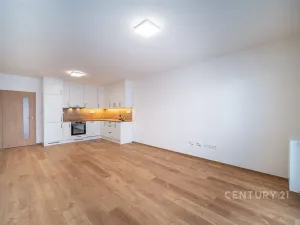 Pronájem bytu 3+kk, České Budějovice - České Budějovice 5, Františka Jelena, 65 m2