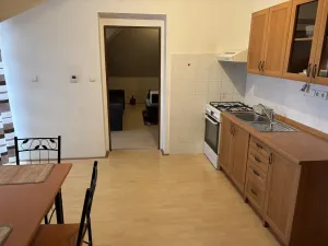 Pronájem bytu 1+1, Líně, U Mateřské školy, 58 m2