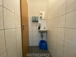 Pronájem obchodního prostoru, Brno, Merhautova, 56 m2