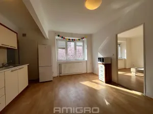 Pronájem bytu 1+1, Brno, Skácelova, 46 m2