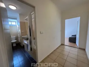 Pronájem bytu 1+1, Brno, Skácelova, 46 m2
