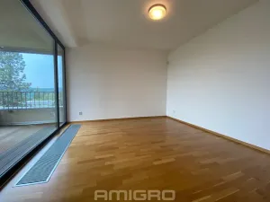 Pronájem bytu 3+kk, Brno, Preslova, 104 m2