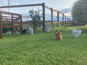 Prodej komerční, Pluhův Žďár - Jižná, 28792 m2