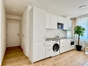 Pronájem bytu 1+kk, Praha - Michle, Batelovská, 18 m2