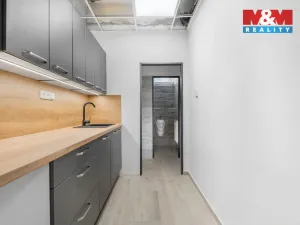 Pronájem kanceláře, Ústí nad Labem - Všebořice, Havířská, 247 m2