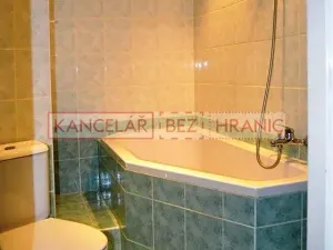 Prodej bytu 1+1, Ostrava, Přemyslovců, 35 m2