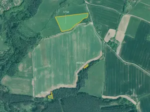 Prodej louky, Slabčice, 21867 m2