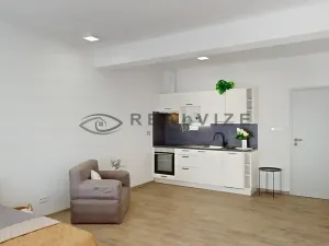 Pronájem bytu 1+kk, České Budějovice, Puklicova, 38 m2