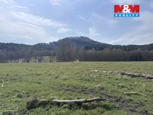 Prodej louky, Cvikov - Trávník, 545 m2