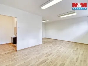 Prodej obchodního prostoru, Most, Javorová, 34 m2