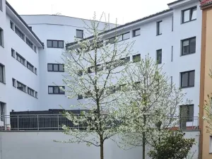 Prodej bytu 3+kk, Hranice, Jiřího z Poděbrad, 45 m2