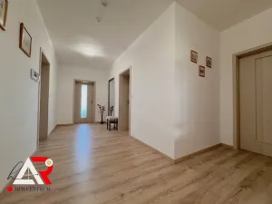 Prodej rodinného domu, Velešovice, 451 m2