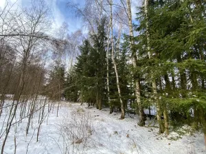 Prodej pozemku, Volfířov - Brandlín, 5958 m2