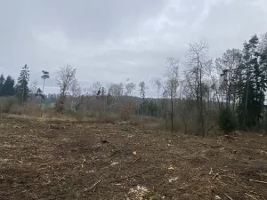 Prodej lesa, Blížejov - Lštění, 7793 m2