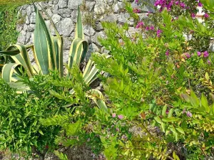 Prodej rodinného domu, San Nicola Arcella, Kalábrie, Itálie, 150 m2