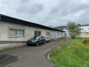 Pronájem výrobních prostor, Ústí nad Labem, U Tonasa, 1248 m2
