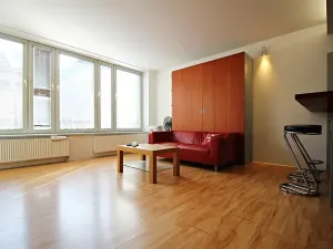 Pronájem bytu 1+kk, Brno, Spálená, 36 m2
