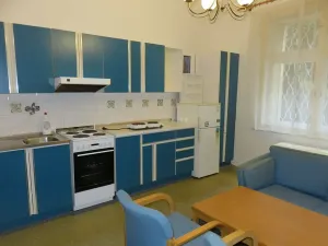 Pronájem bytu 1+1, Praha - Staré Město, Haštalské náměstí, 48 m2