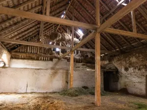 Prodej komerční, Potštejn - Brná, 23296 m2