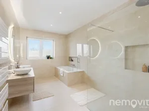 Prodej rodinného domu, Velký Borek, Na Vrších, 186 m2