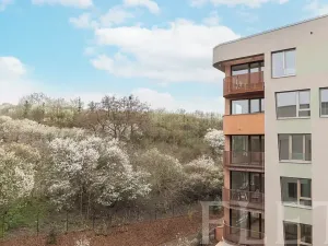 Pronájem bytu 1+kk, Praha - Radlice, U Komína, 38 m2