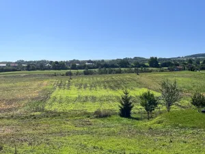 Prodej pozemku pro bydlení, Brodek u Prostějova, 3986 m2