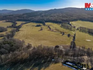 Prodej louky, Dětřichov, 4178 m2