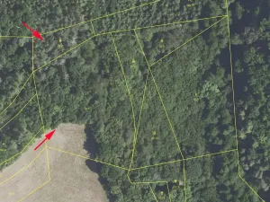 Prodej louky, Nezabudice, 6426 m2