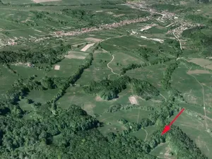 Prodej podílu lesa, Nedašov, 632 m2