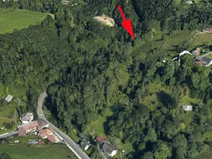 Prodej lesa, Železný Brod, 3547 m2