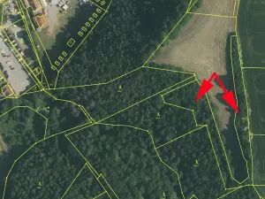 Prodej lesa, Zlatá Koruna, 4920 m2