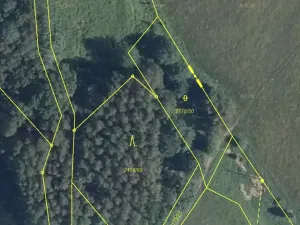 Prodej louky, Dubnice, 903 m2