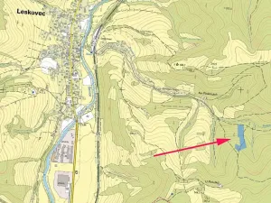 Prodej lesa, Leskovec, 11334 m2