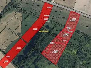 Prodej lesa, Lysá nad Labem, 8812 m2