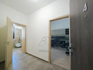 Pronájem bytu 1+kk, České Budějovice, Fráni Šrámka, 40 m2