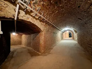 Prodej činžovního domu, Brno, Hlinky, 1140 m2