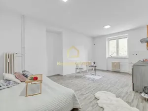 Prodej bytu 1+1, Ostrava, Alšovo náměstí, 51 m2