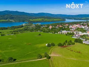 Prodej komerčního pozemku, Horní Planá, 12594 m2