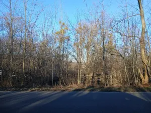 Dražba pozemku, Mladeč, 31766 m2