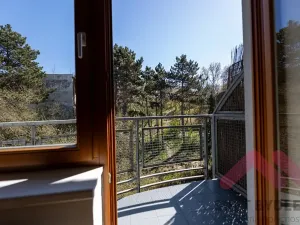 Pronájem bytu 2+kk, Praha - Žižkov, Jeseniova, 53 m2