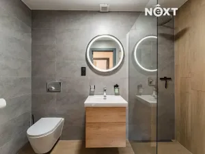 Prodej apartmánu, Staré Město, Sportovní, 197 m2