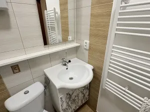 Pronájem bytu 1+kk, Praha - Michle, Počátecká, 27 m2