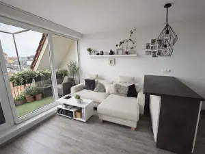 Prodej bytu 3+kk, České Budějovice, Skuherského, 53 m2