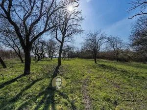 Prodej pozemku pro bydlení, Střemy, 3158 m2