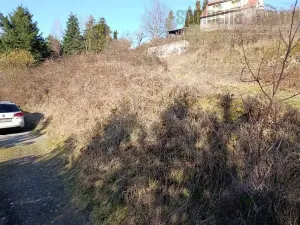 Prodej pozemku pro bydlení, Hradištko, Květná, 1357 m2