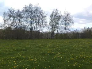 Prodej pozemku, Staré Město - Nová Véska, 10063 m2