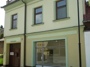 Pronájem obchodního prostoru, Hranice, 40 m2