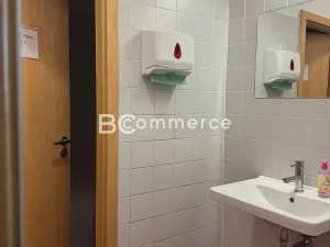 Pronájem kanceláře, Brno, Cejl, 103 m2